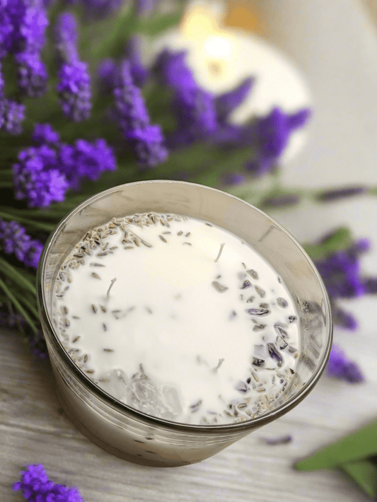 Tranquil Amour - Warmlush